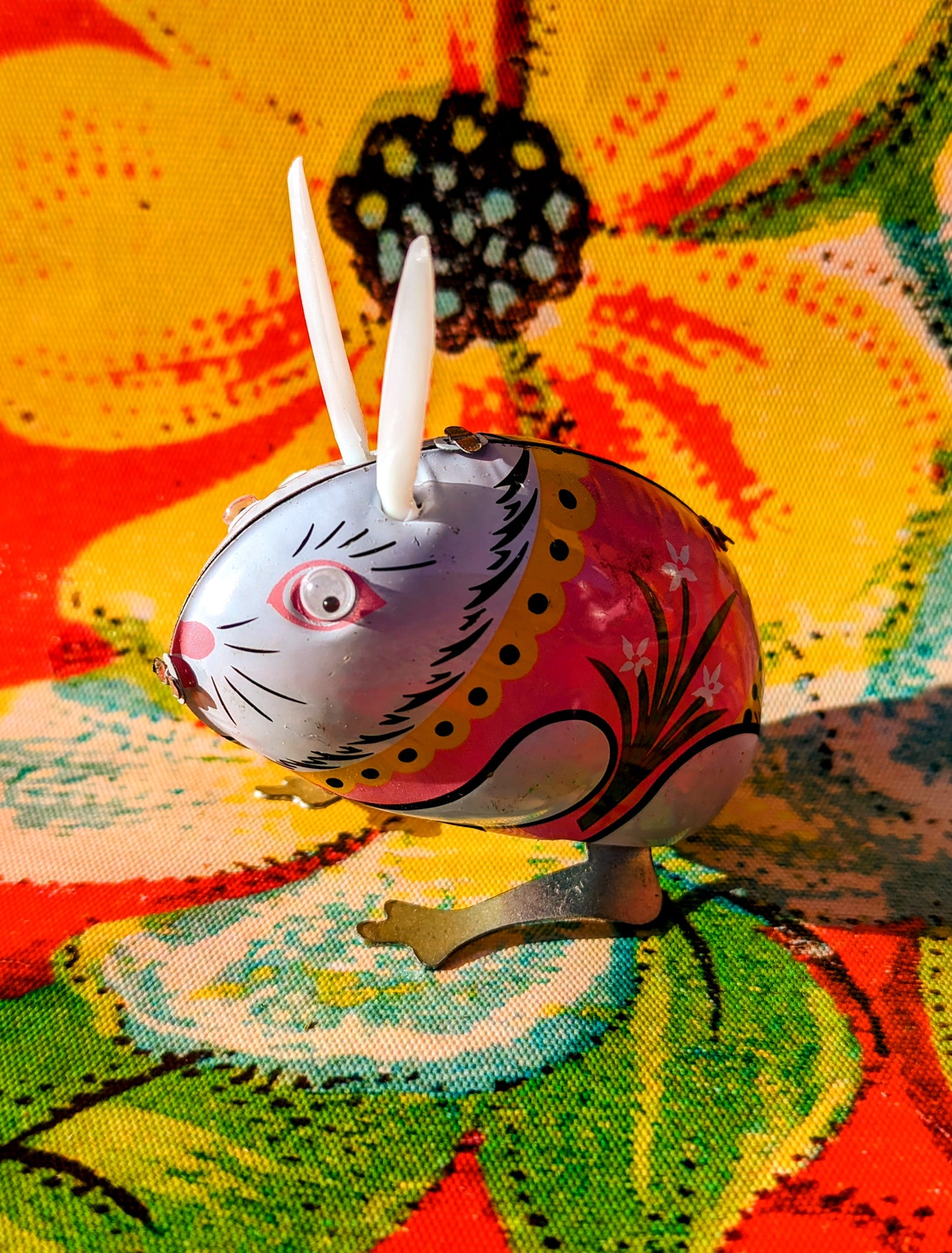 Jumping rabbit