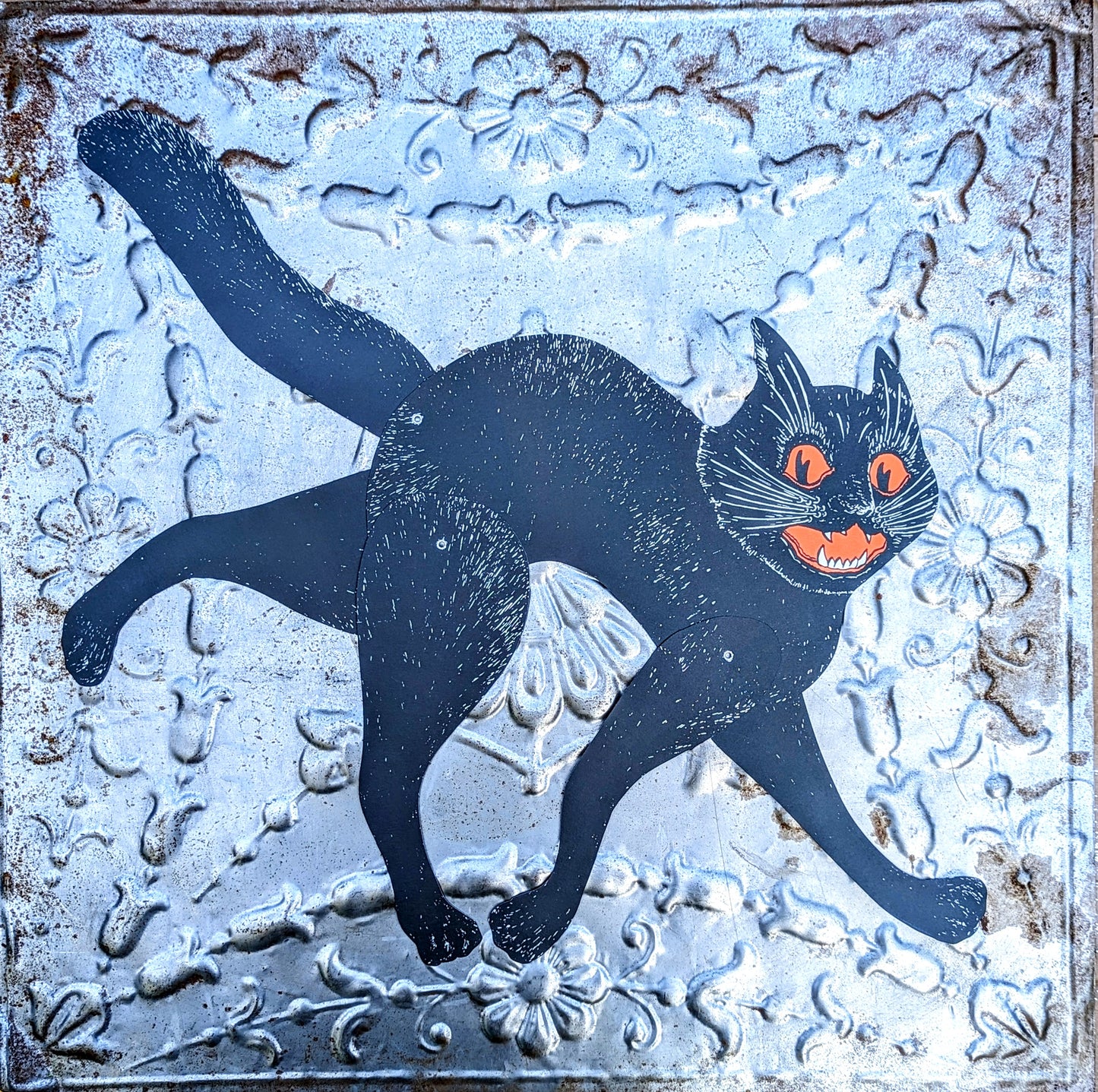 Hissing black cat
