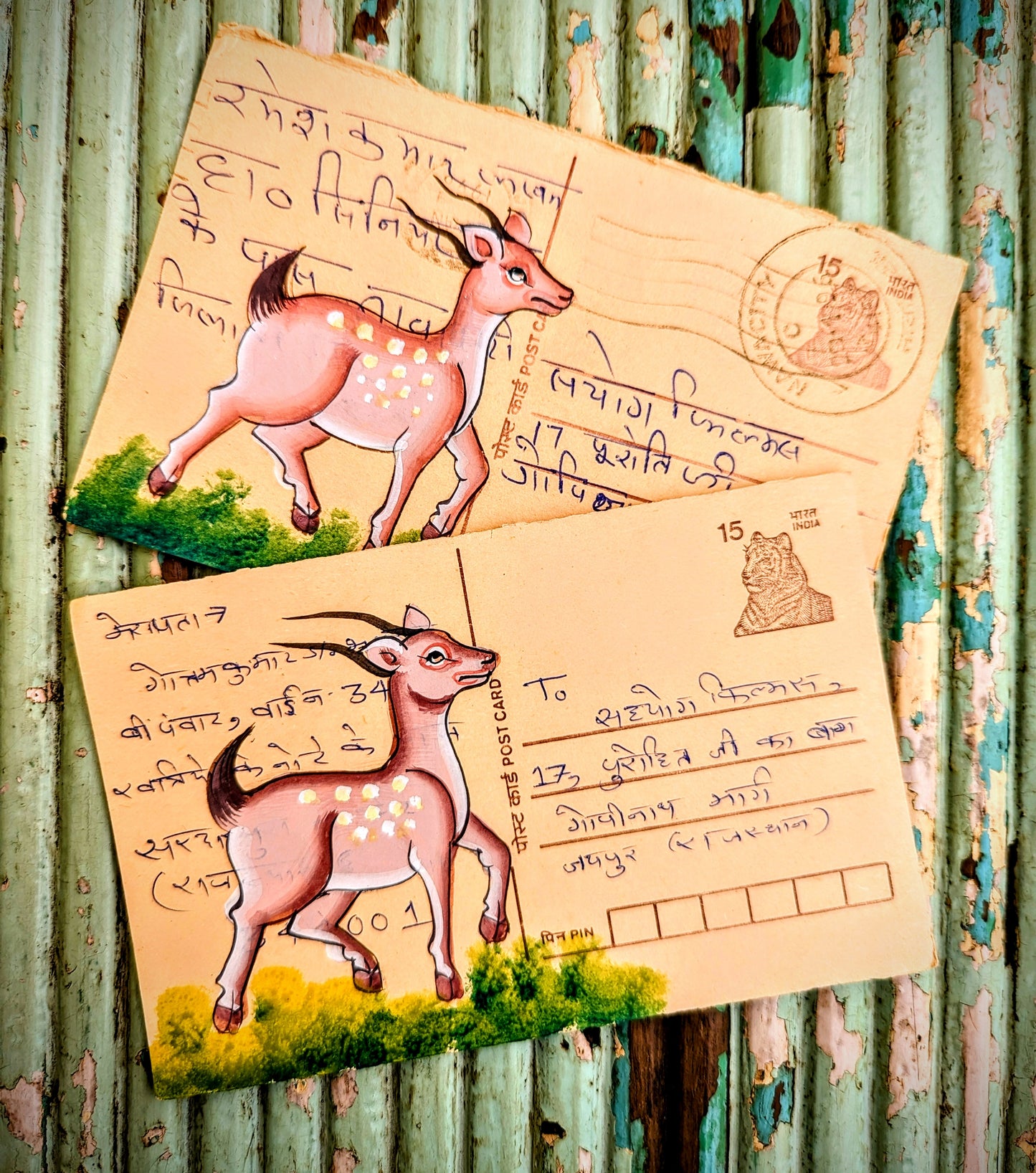 Hand painted indian postcards - forest and jungle