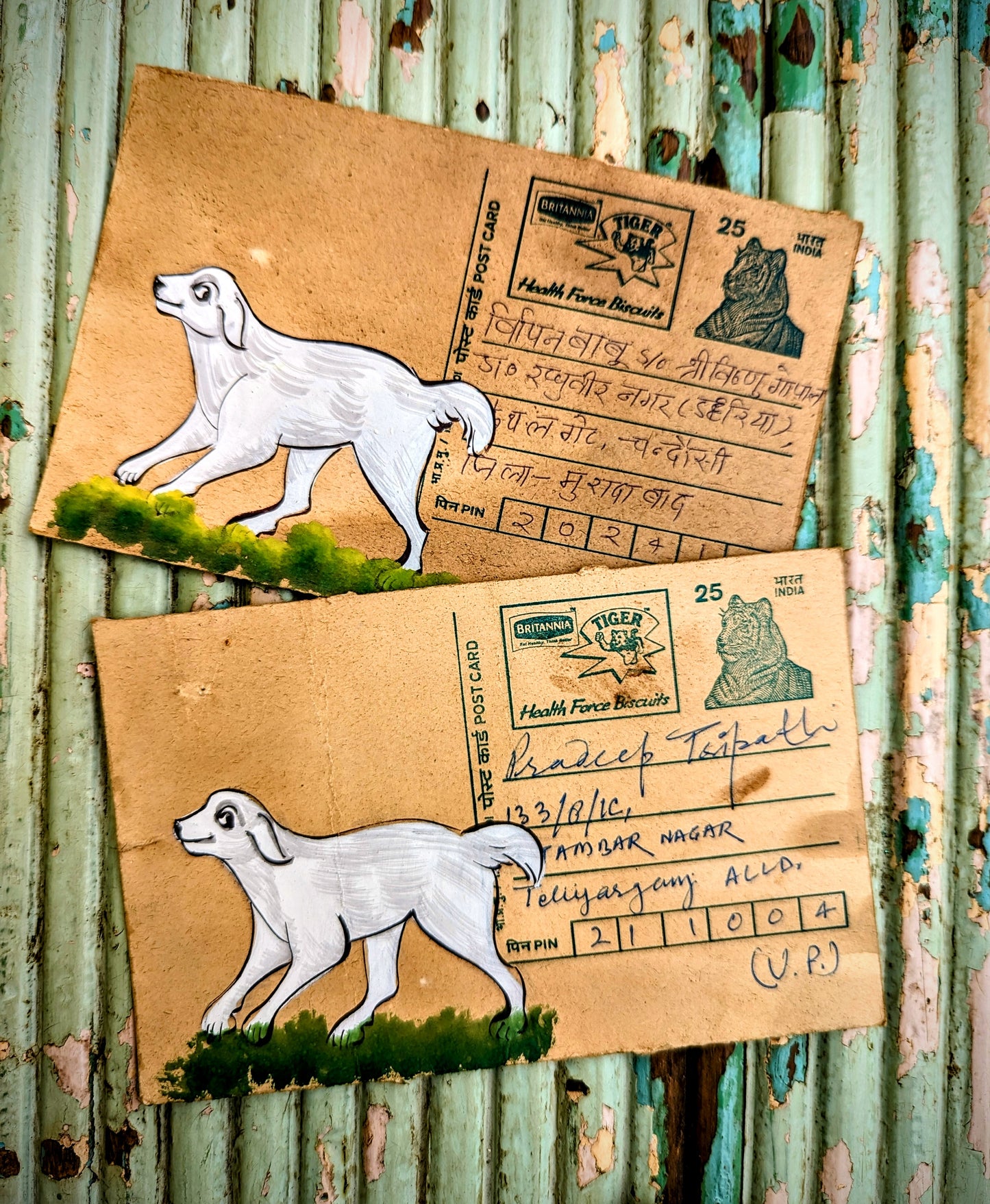 Hand painted indian postcards - forest and jungle
