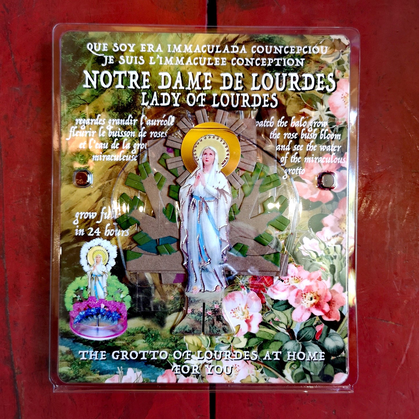 Lady of lourdes magic tree