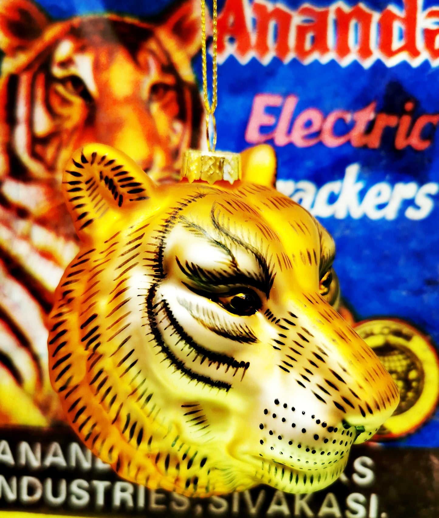 Handsome Tiger