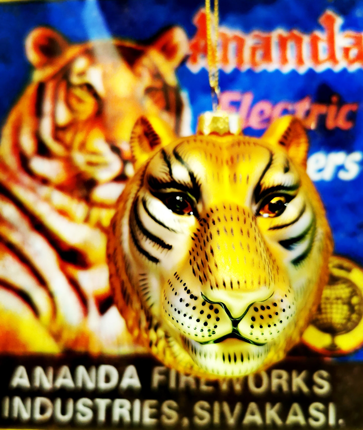 Handsome Tiger