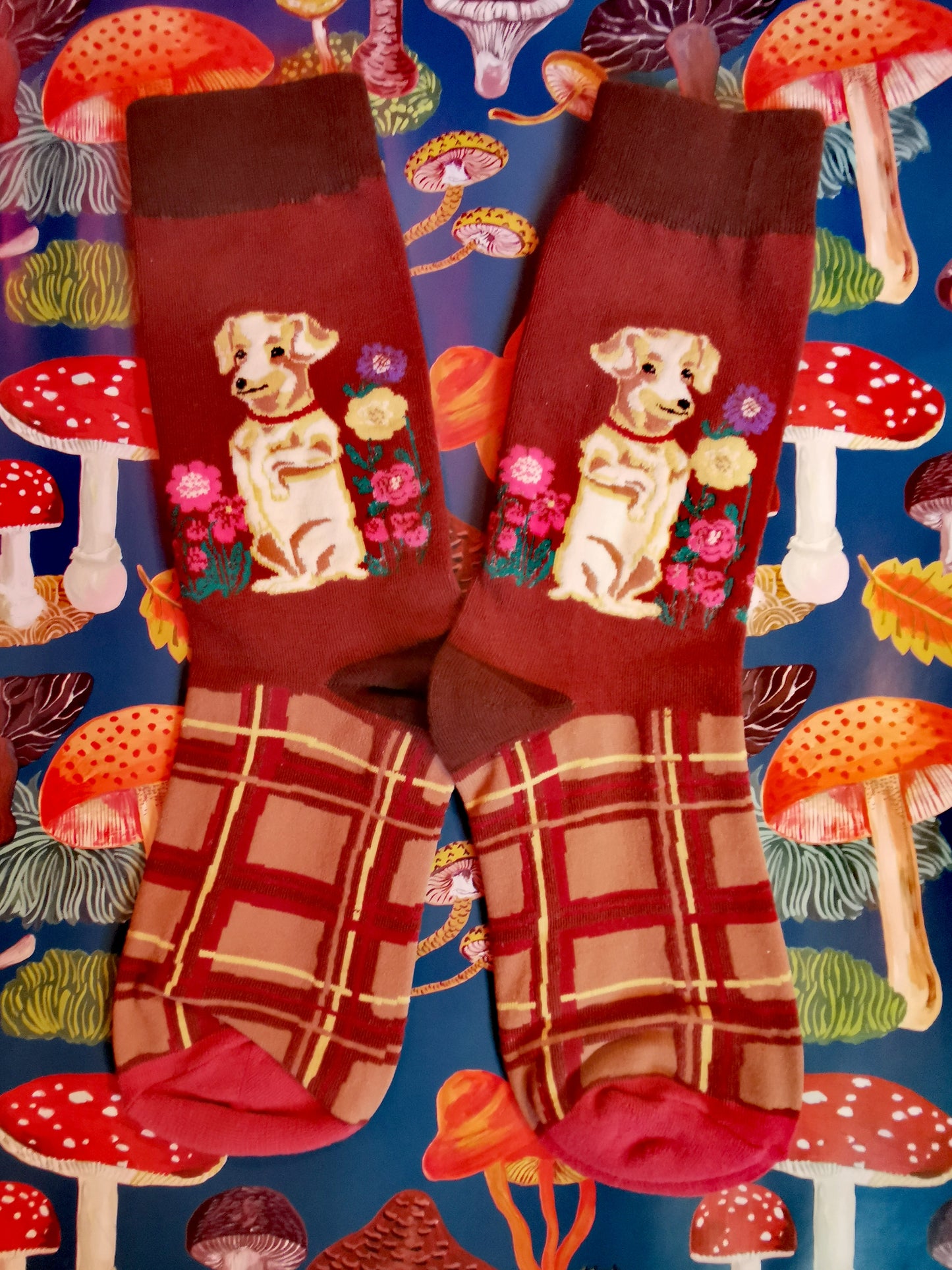 Nathalie Lete super socks