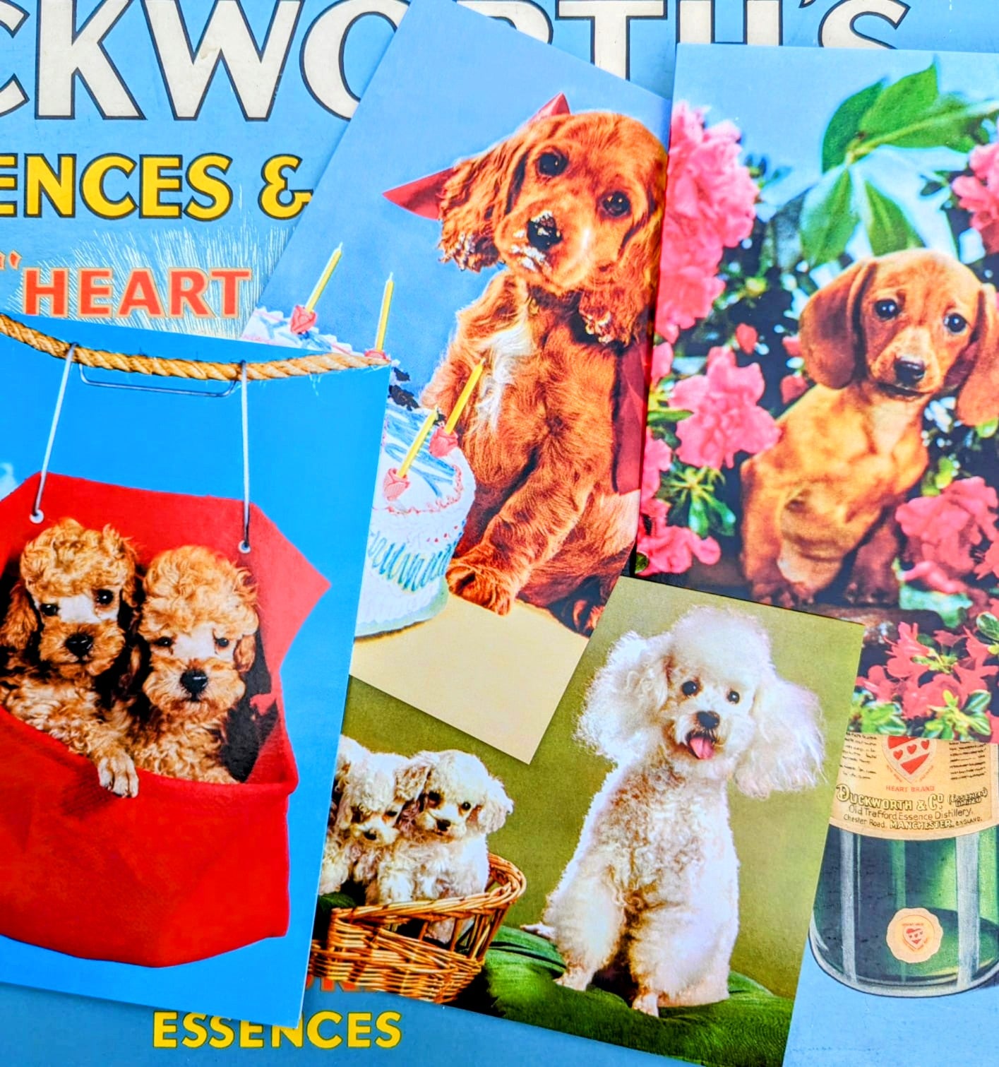Kitschy dogs
