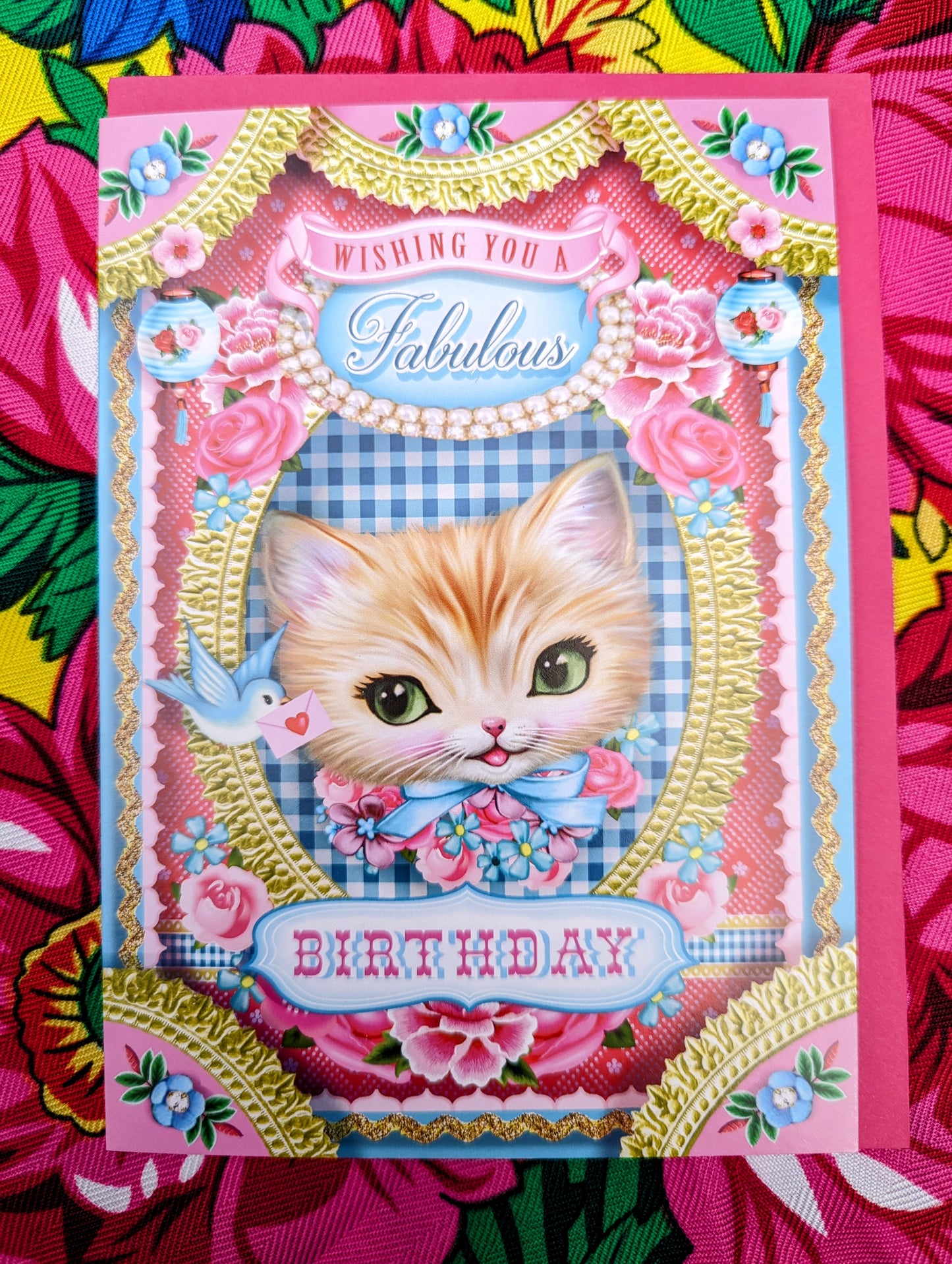 Cutest cats