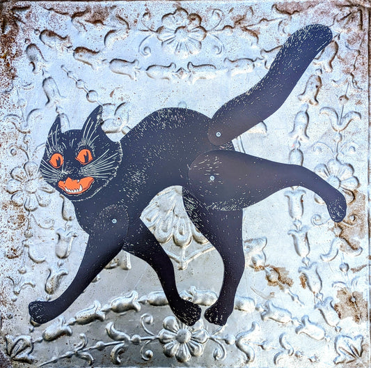 Hissing black cat