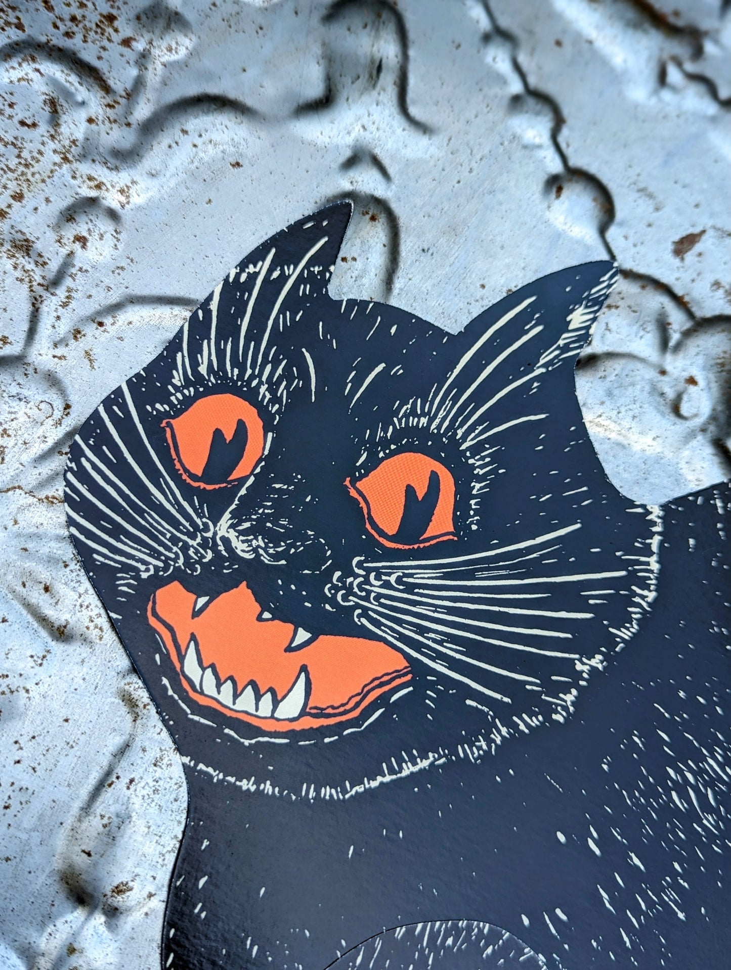 Hissing black cat