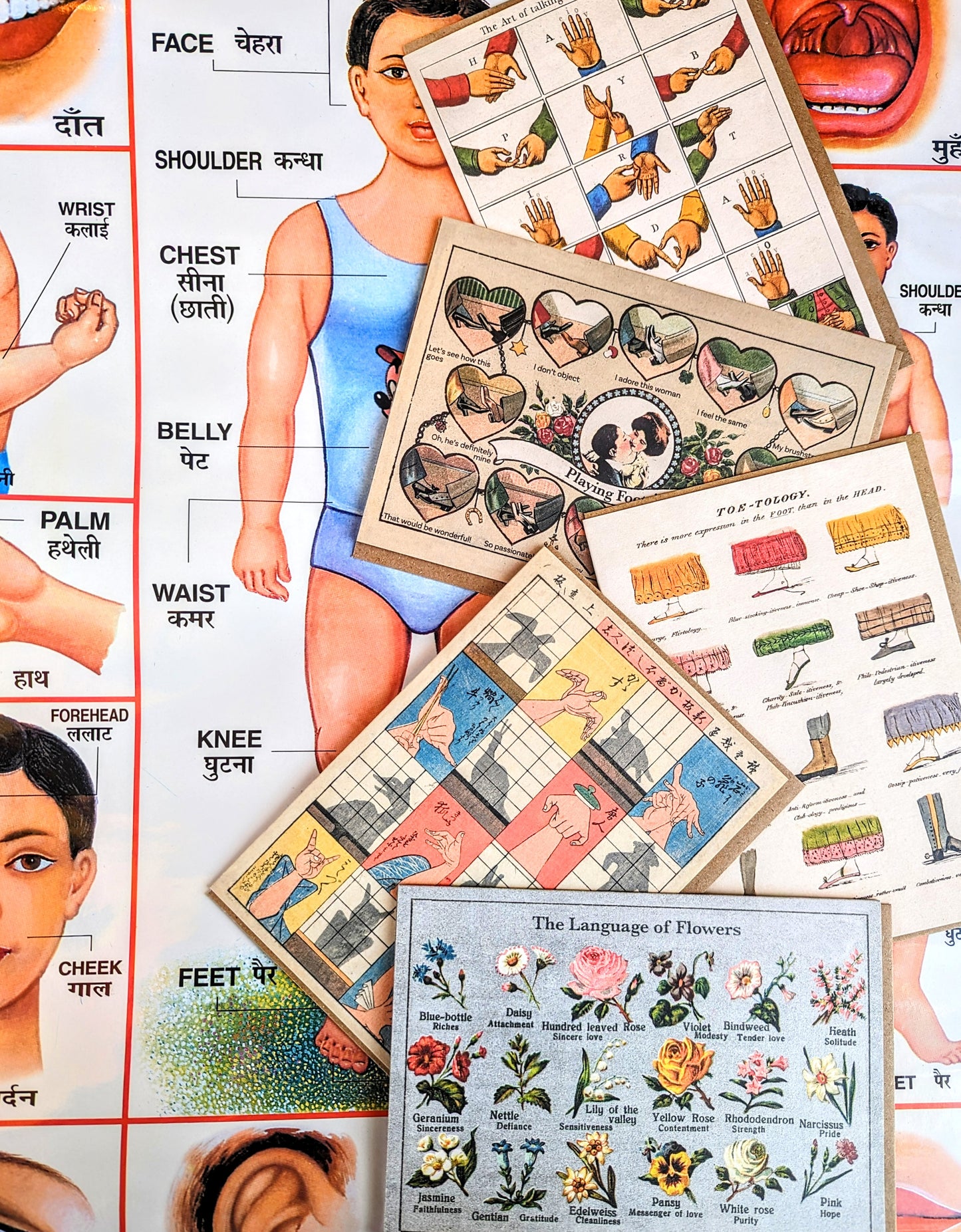 Set of 5 beautifully printed cards featuring Victorian illustrations from the Welcome Collection , the language of flowers to the expression of feet!!

Set of 5 cards.

Cards come with recycled brown envelopes.

 Gestures
Communication
welcome Collection 