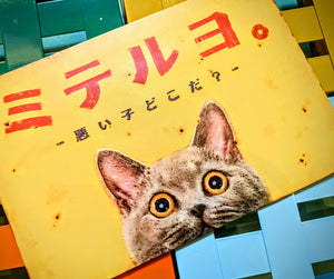 Japanese advertising tin signs