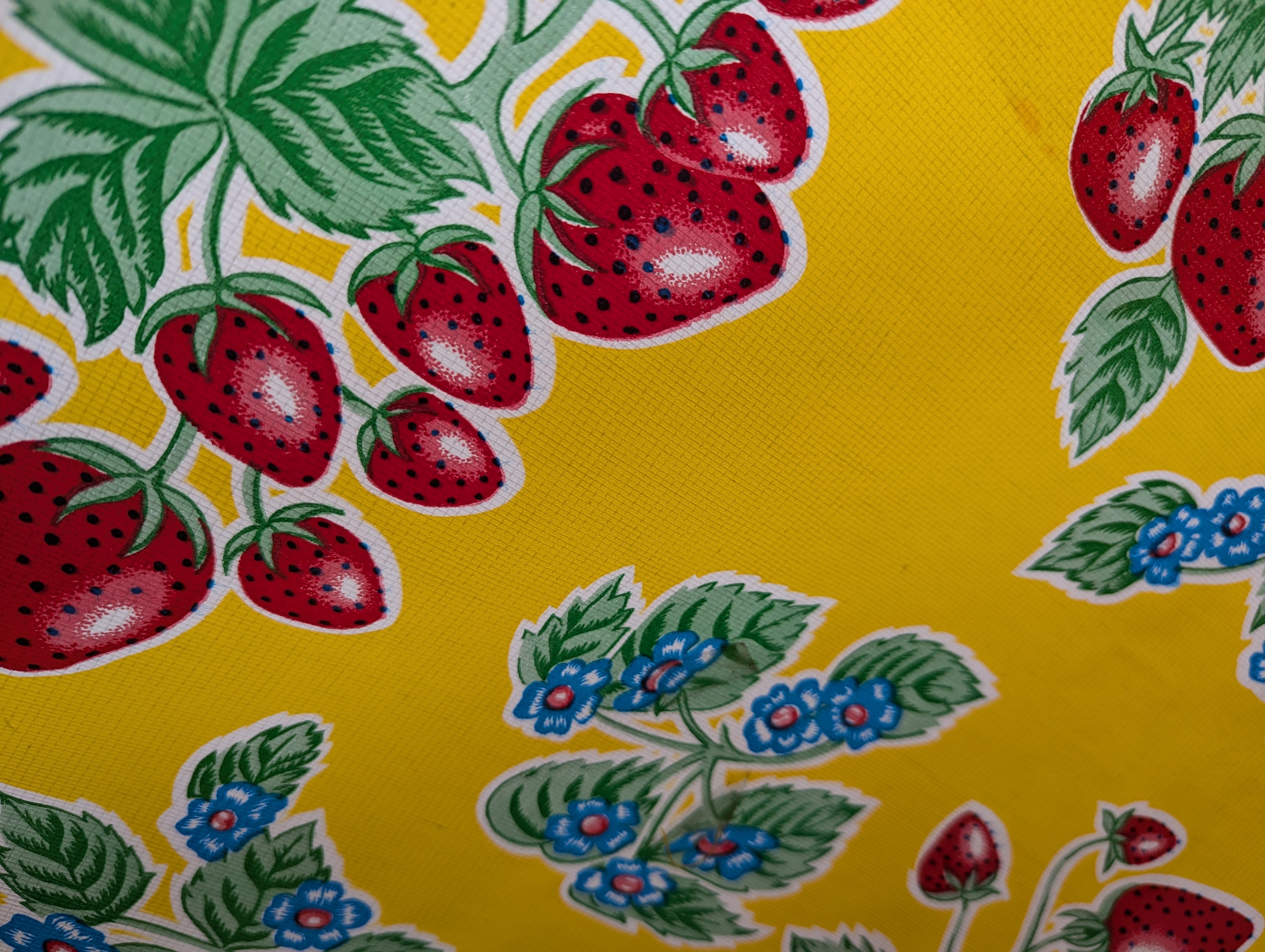 Mexican oilcloth 2m x 1.2m