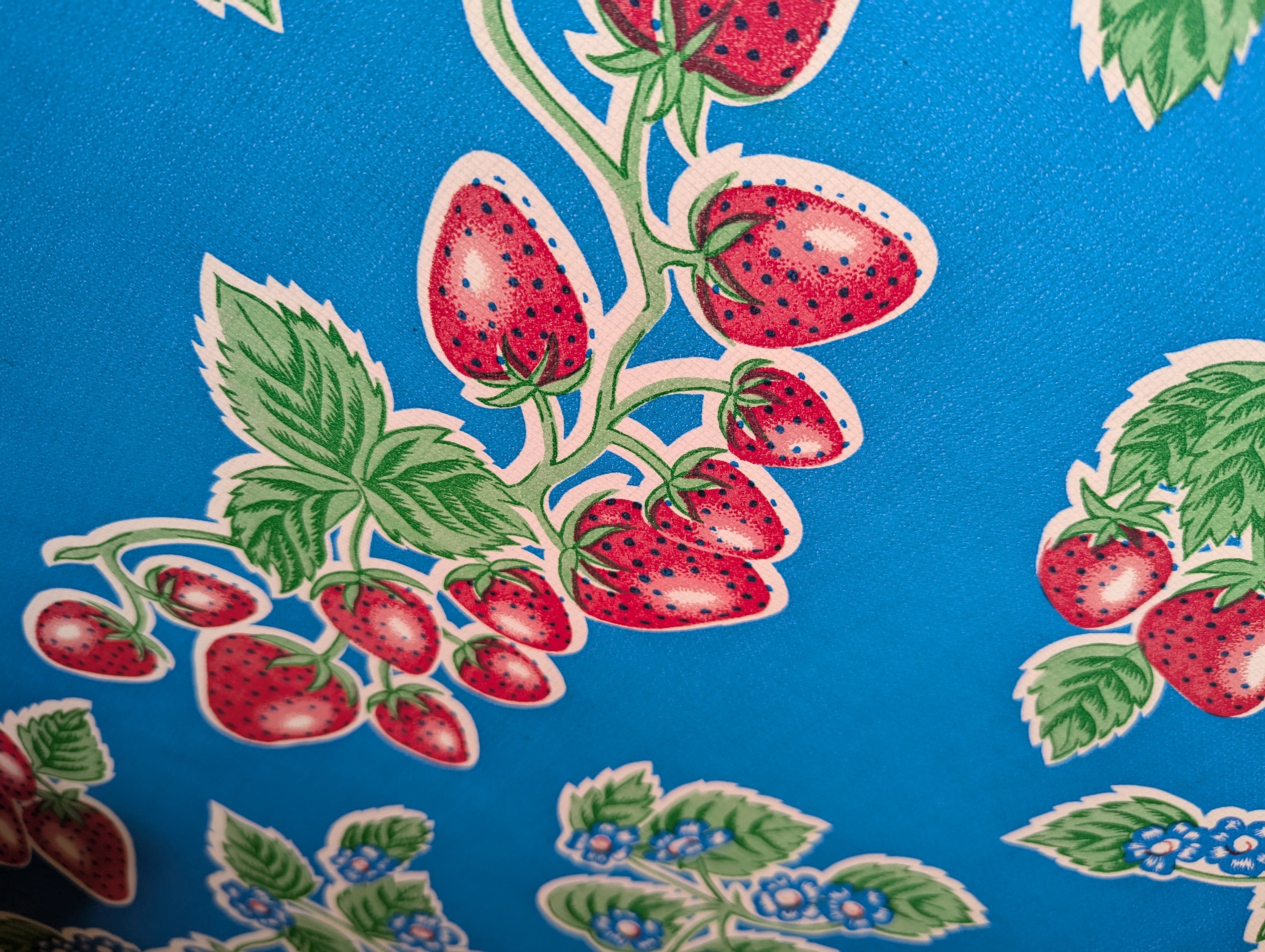 Mexican oilcloth 2m x 1.2m