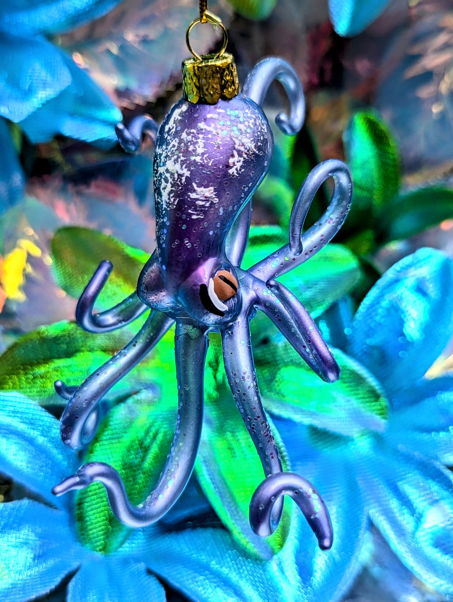 Gorgeous curled octopus