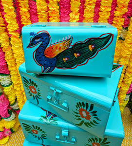 Indian truck art trunks - Peacock