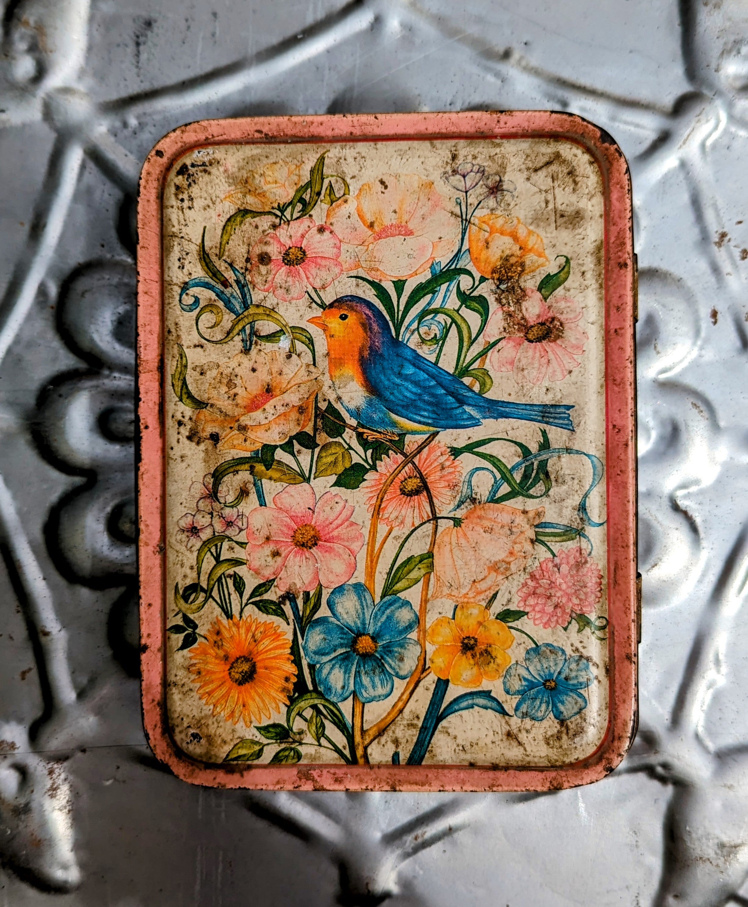 Vintage indian tins Flora and Fauna