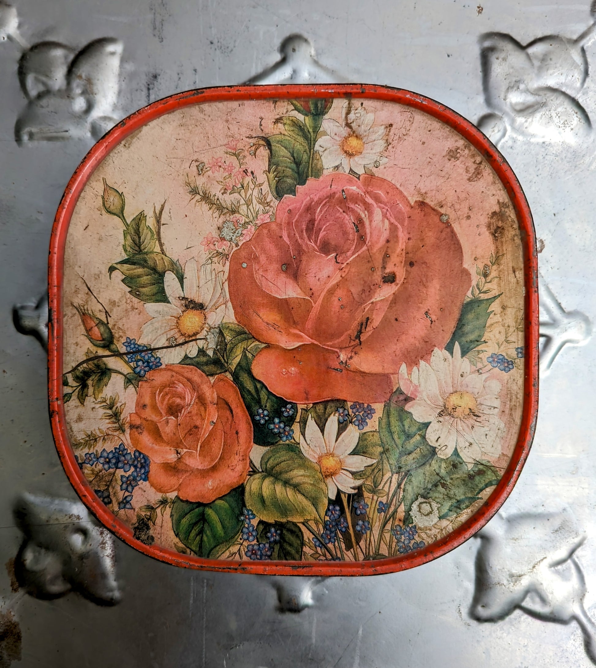 Vintage indian tins Flora and Fauna