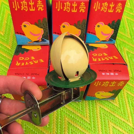 Spinning Easter egg with chick