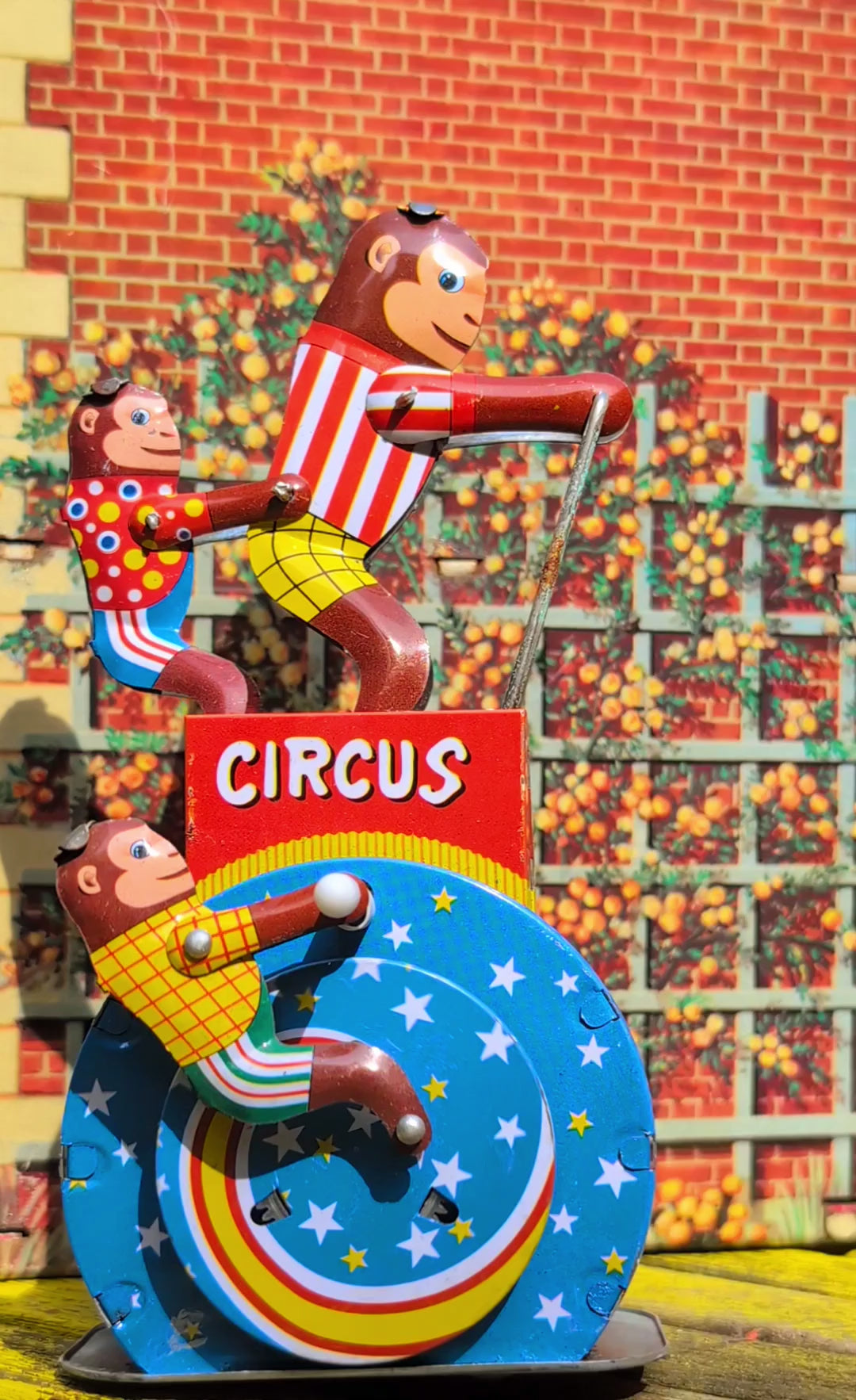 Circus monkeys