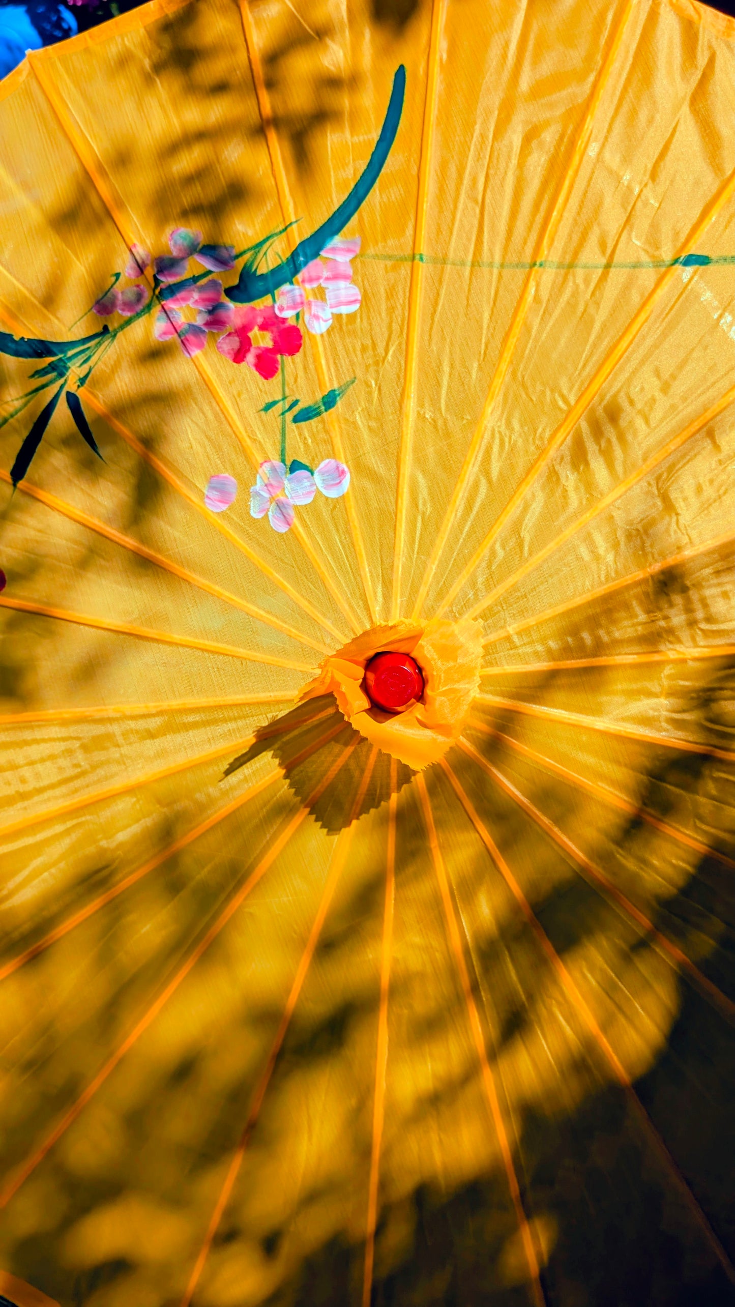 Pretty parasol
