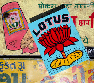 Indian truck art cupboards