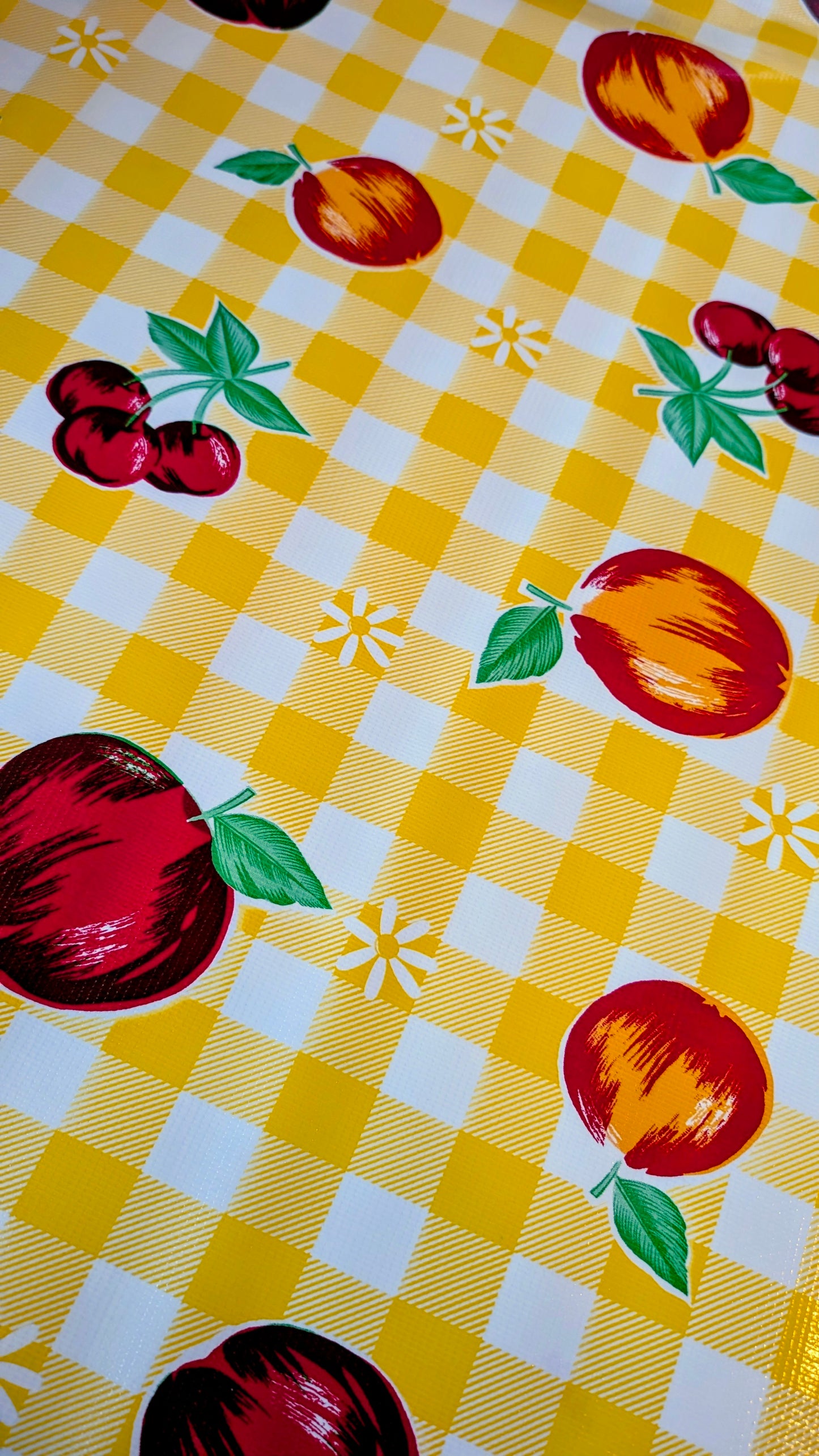 Mexican oilcloth 2m x 1.2m