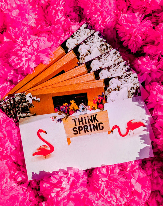 For those who love the kitsch in Christmas....the classic Pink Flamingoes!!

Pack of five vintage American classic photographic Christmas cards.

Blank inside, all have red envelopes.

17.5 x 12cm
John Waters Christmas 
Pink Flamingoes 
Divine

