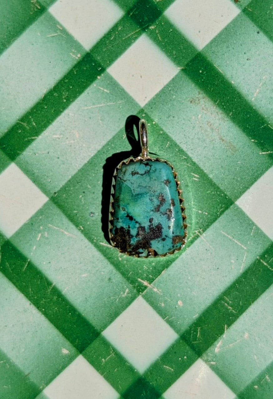 Luscious pendants in silver