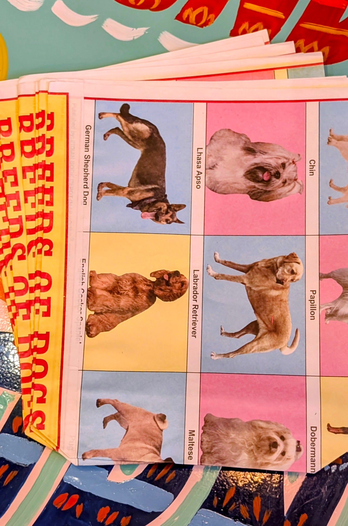 Indian poster party bags