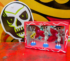 Skeleton Nicho boxes