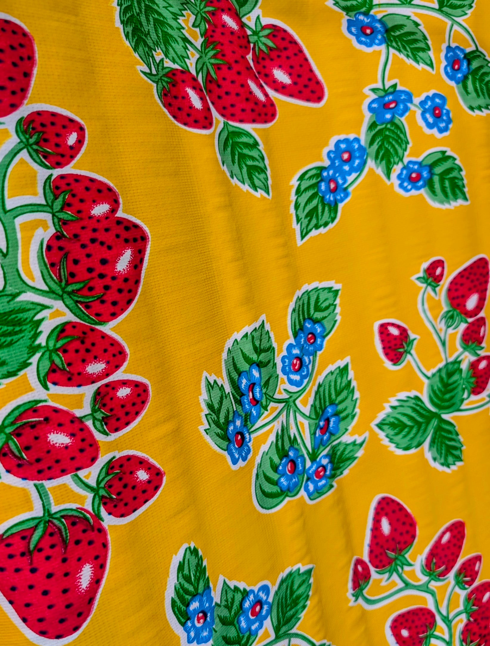 Mexican oilcloth 1.5m x 1.2m