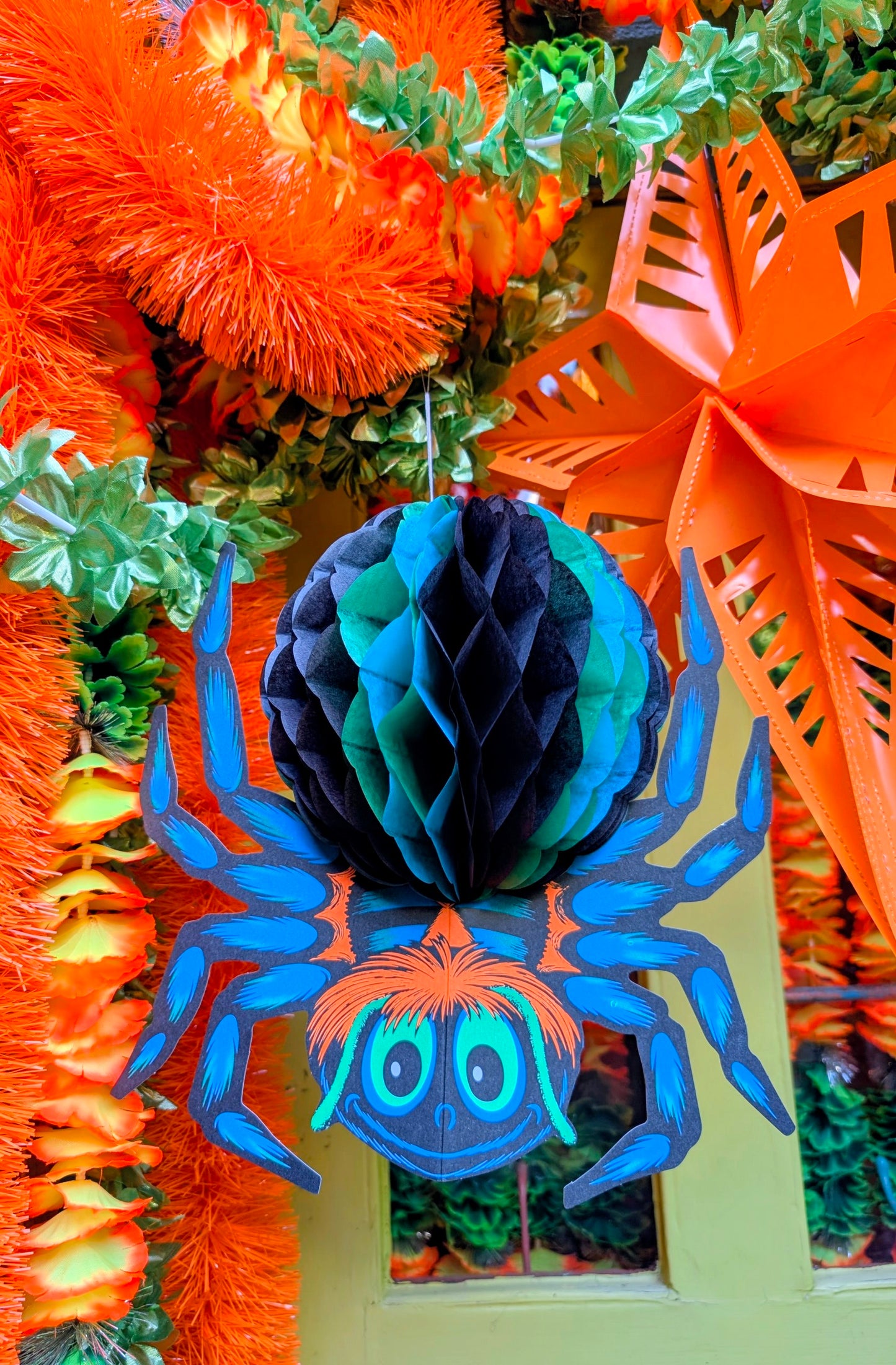 Honeycomb spider