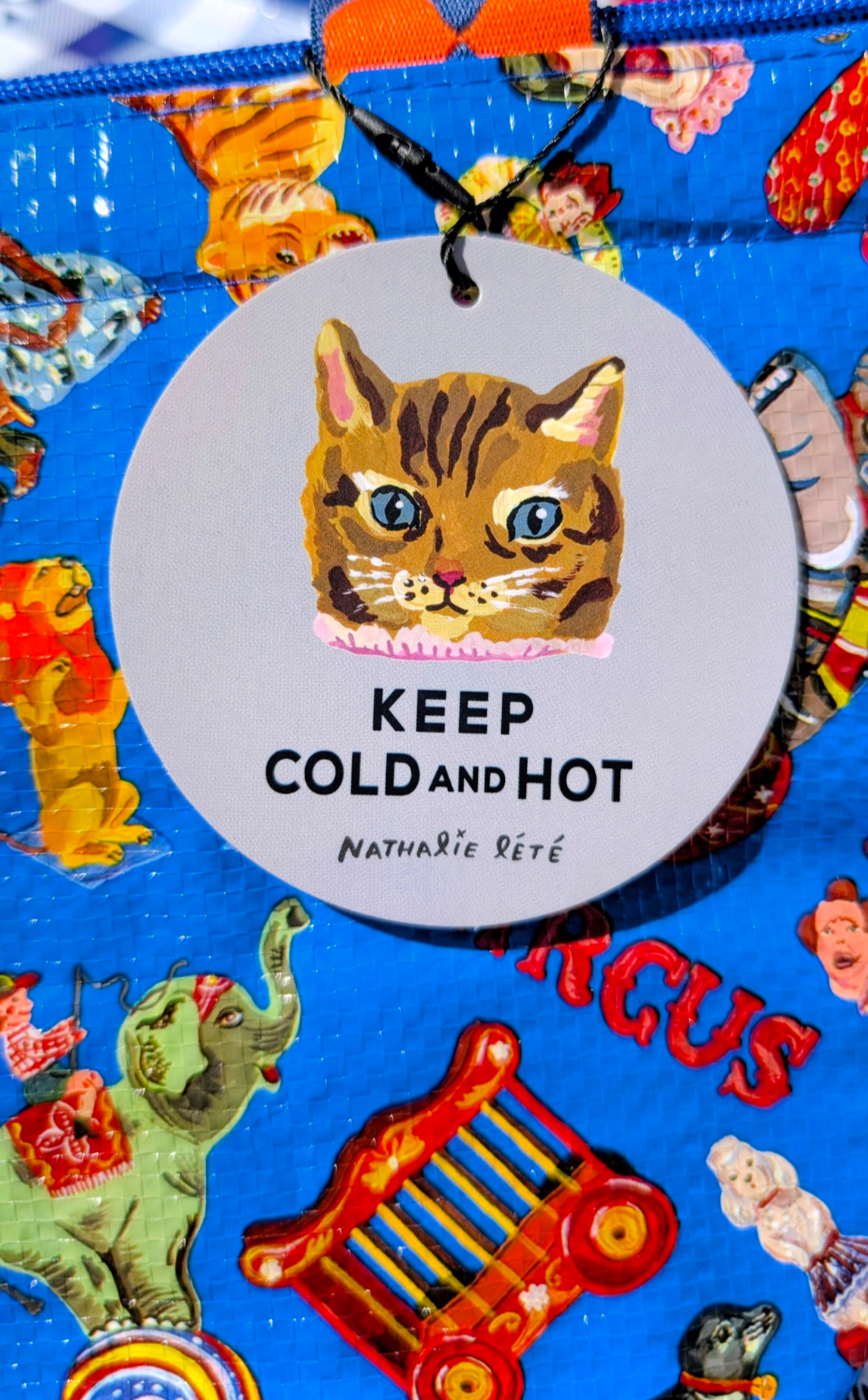 Hot and cold cute lunch bag