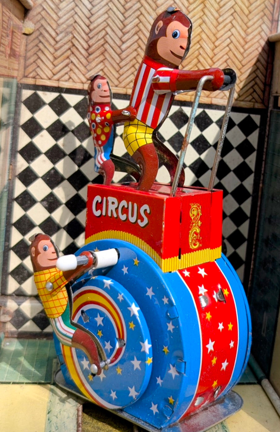 Circus monkeys