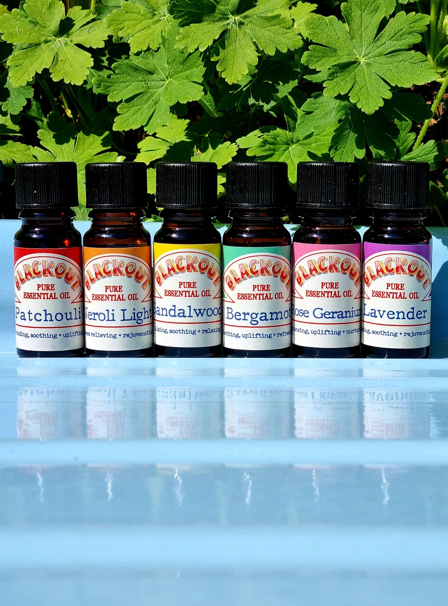 Blackout essential oils 10ml