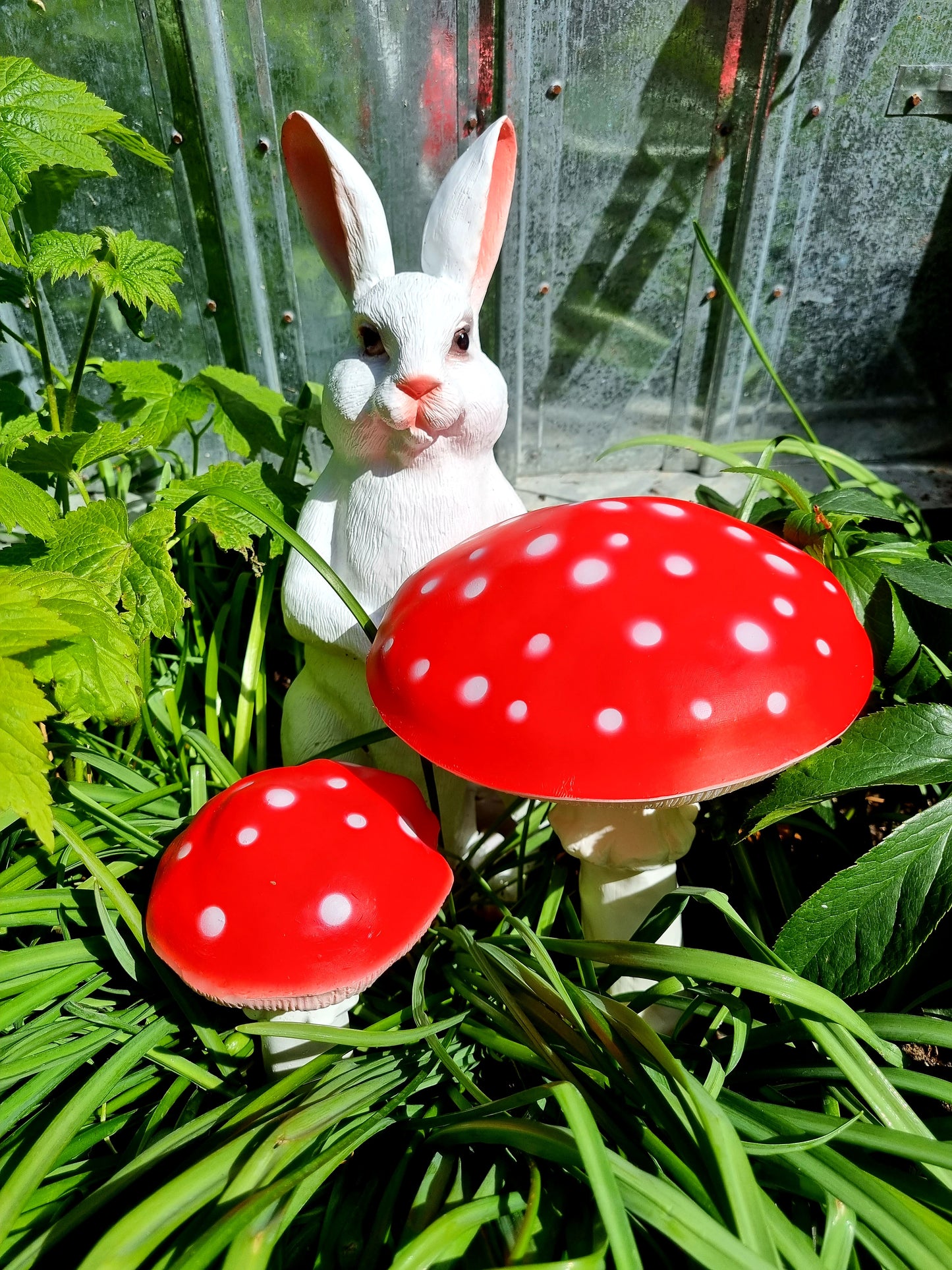 Fly agaric garden toadstools