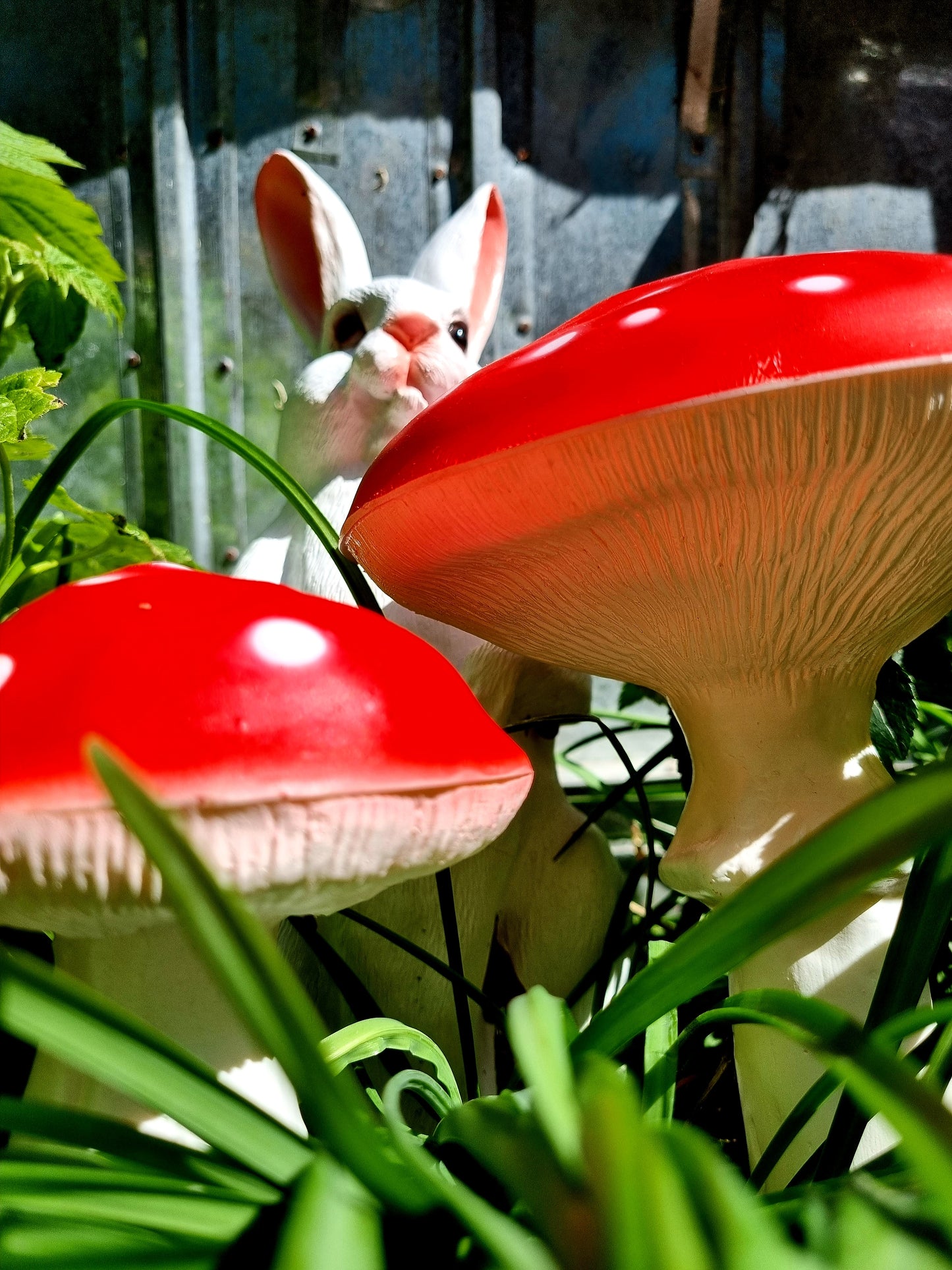 Fly agaric garden toadstools