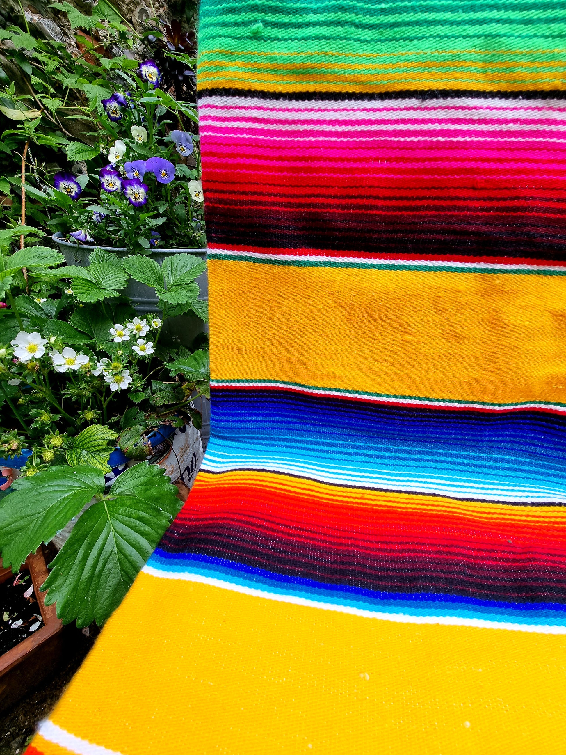 Mexican Sarape