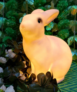 Sweetest forest folklore bunny light, softest shading light, so works really well as a nightlight for little ones.

Made in Germany 

Led light UK plug

25cm high x 18cm x 11

