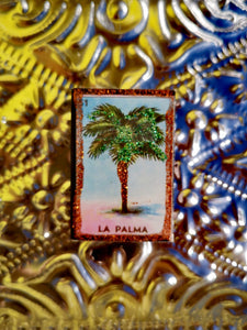 Mini Mexican matchbox palm tree