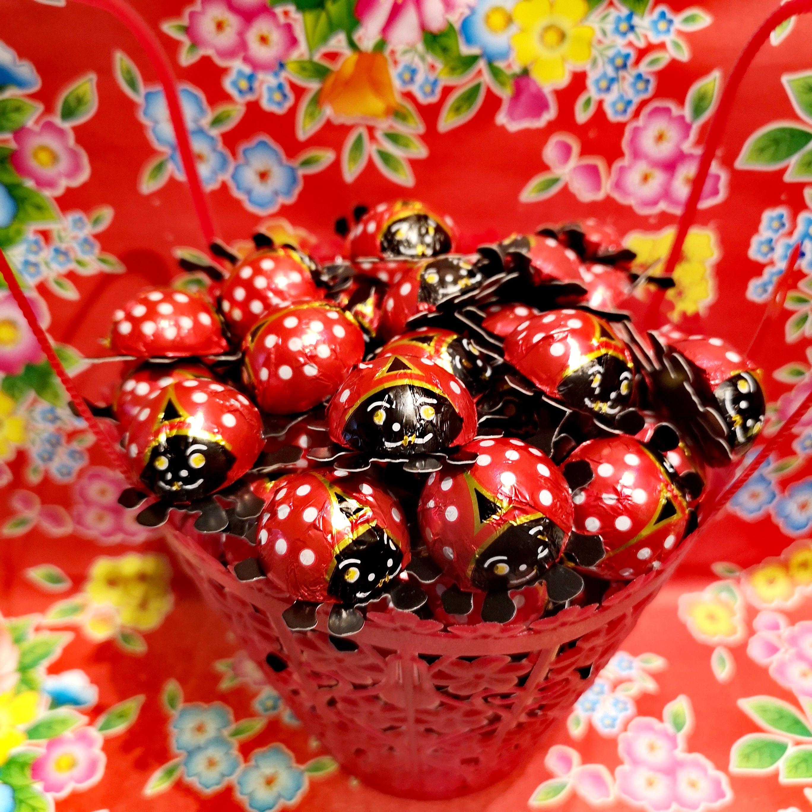 Chocolate ladybirds