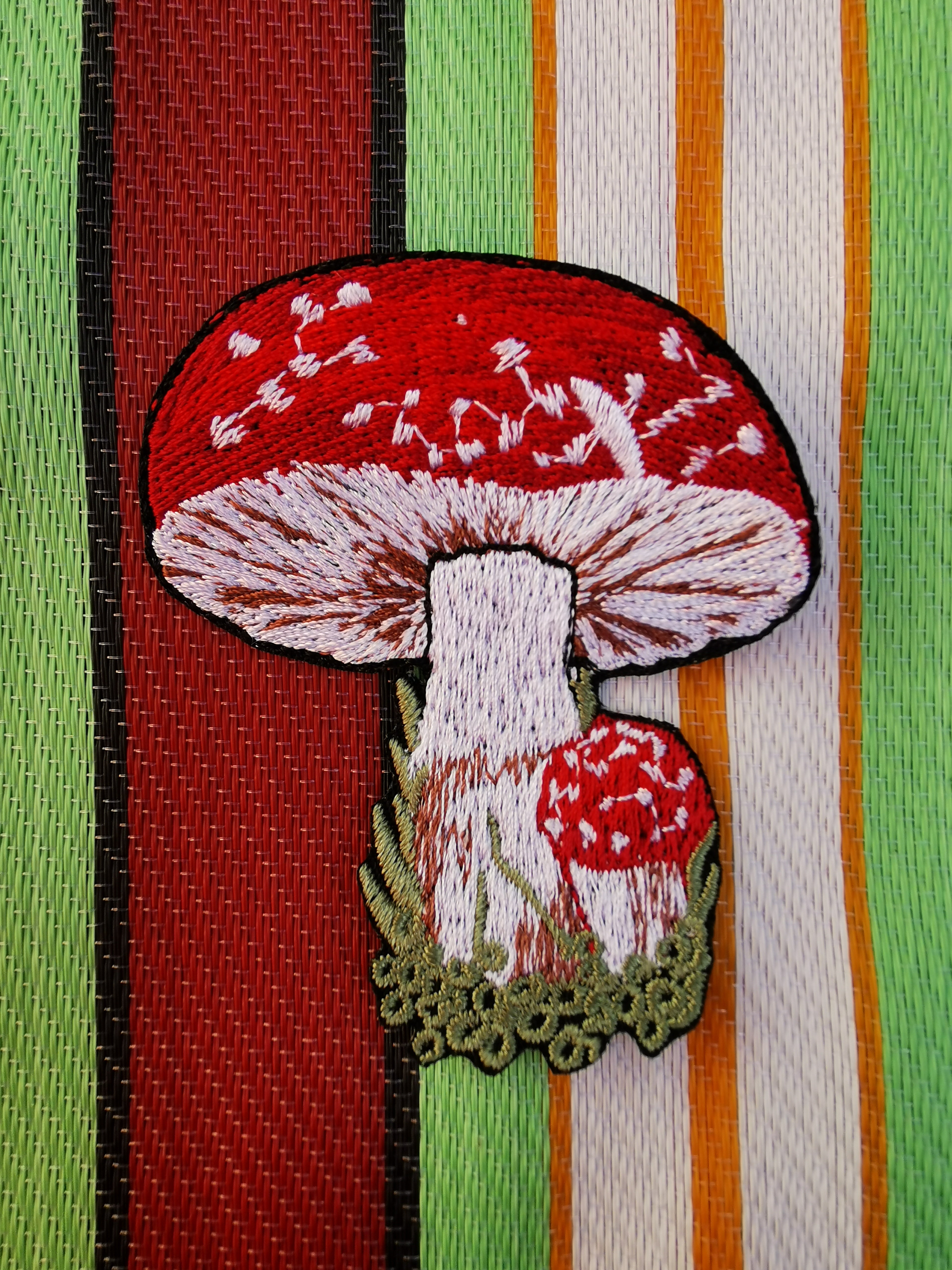 Marvellous Mushrooms