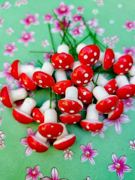 Tiny handpainted toadstools for decorating, crafting and creating tiny worlds, look great on the Xmas tree too!!

25 in a pack

Toadstool 2 cm, wire 5cm approx 

Handpainted foam, wire

