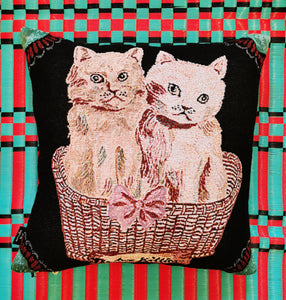 Kitty cushions