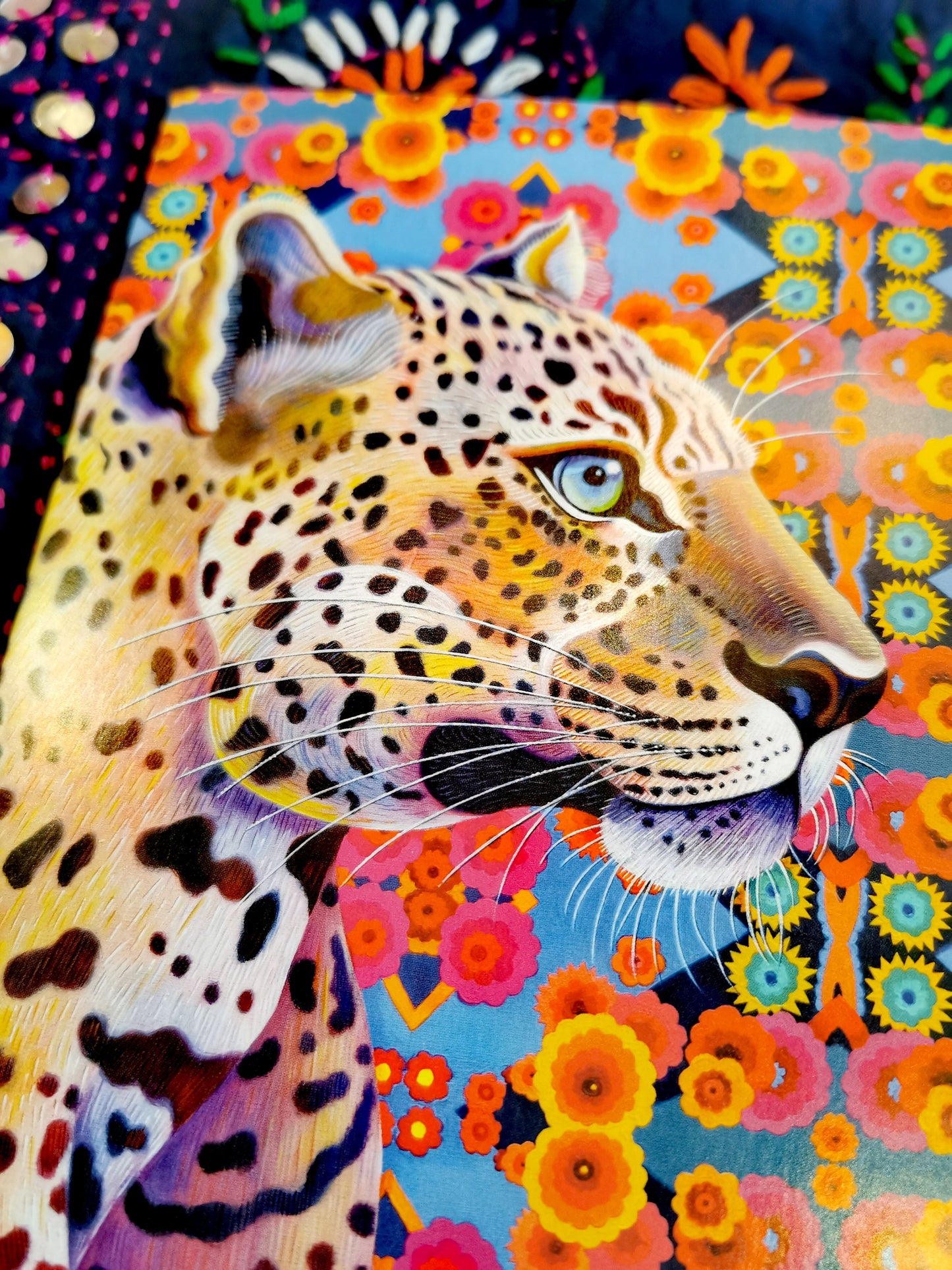Big cat beauties