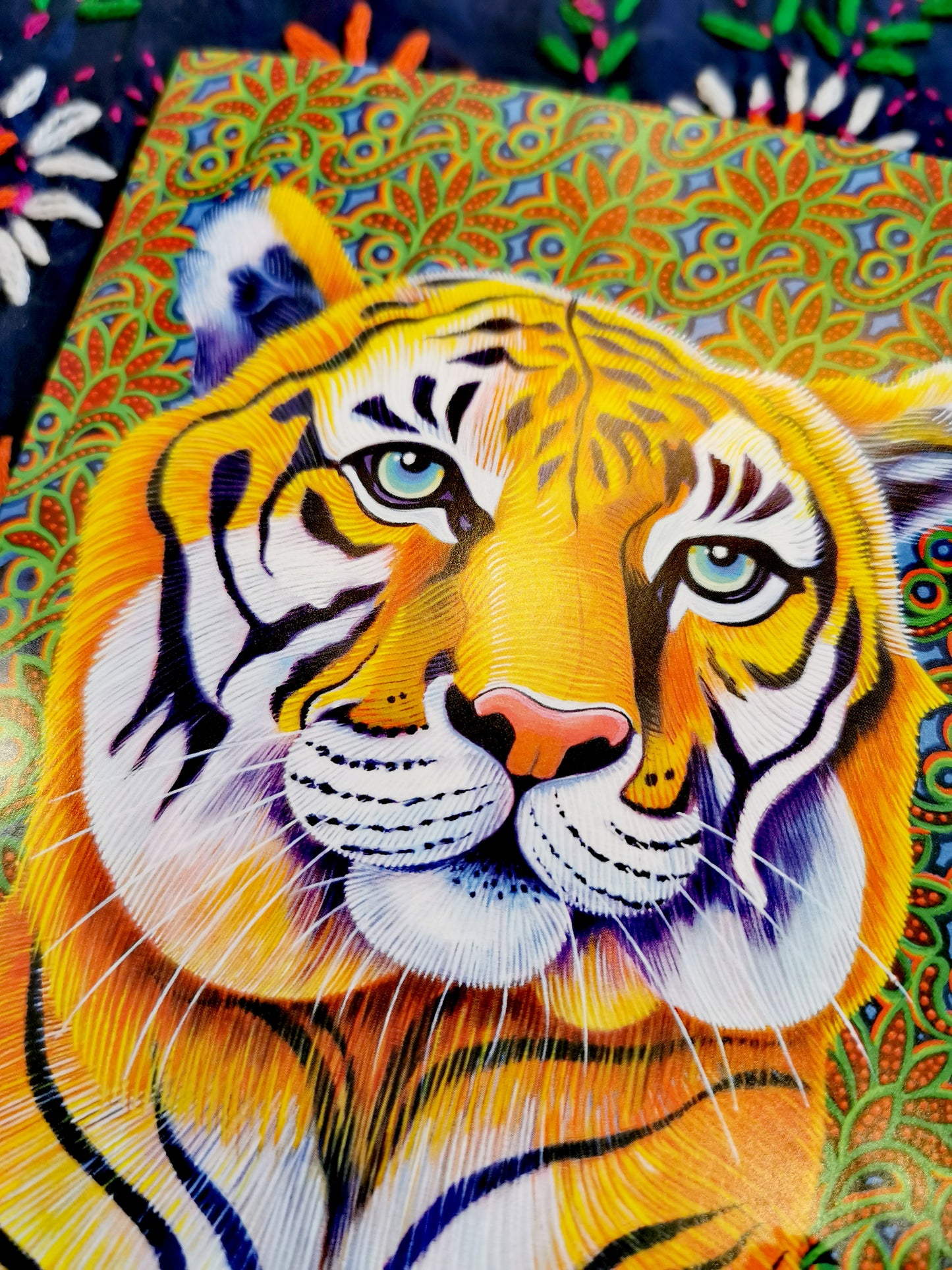 Big cat beauties