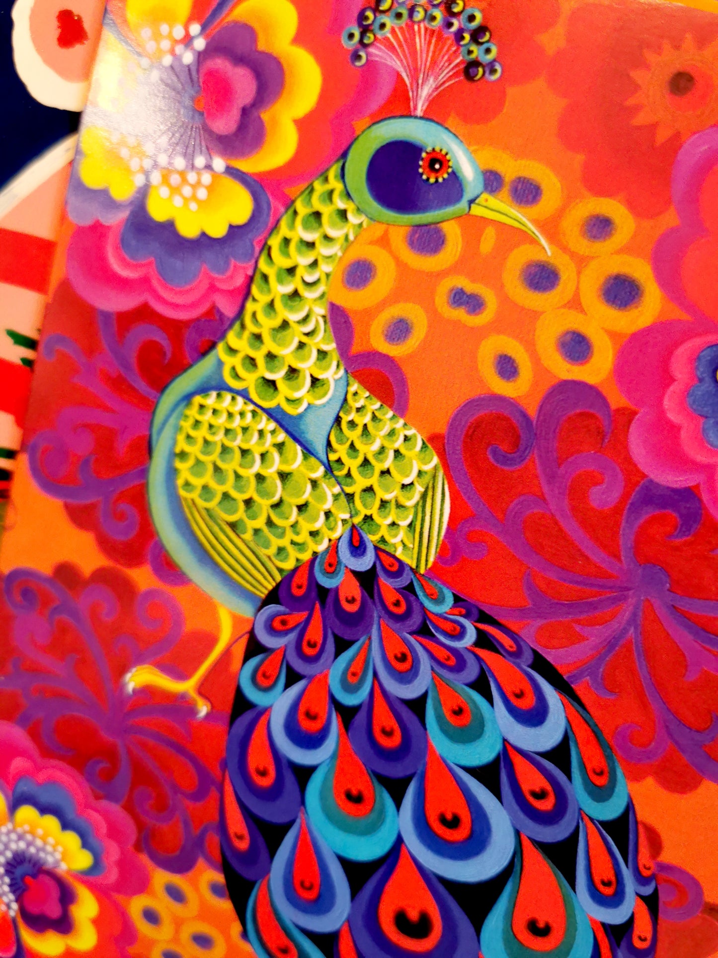 Birds of paradise