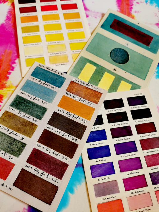 Beautiful colour chart and glaze sample vintage print inspired images on textured card. 

Set of 4 cards

17cm x 12cm 

