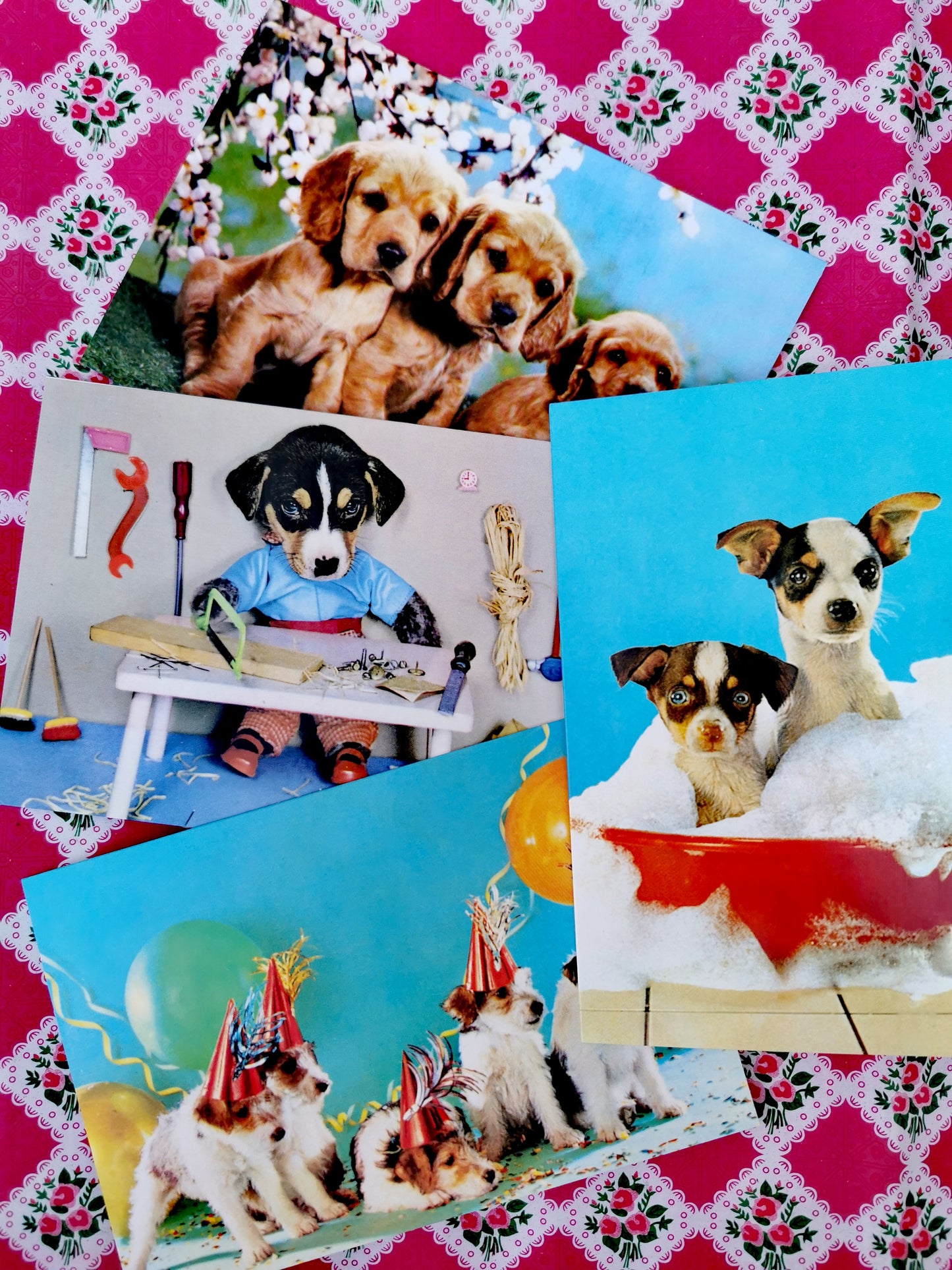 Vintage photos of perfect puppies greetings cards set, a selection of our fave cards to send a bit of joy!!

Set of 4 cards

17cm x 12cm 

