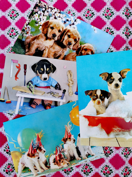 Vintage photos of perfect puppies greetings cards set, a selection of our fave cards to send a bit of joy!!

Set of 4 cards

17cm x 12cm 

