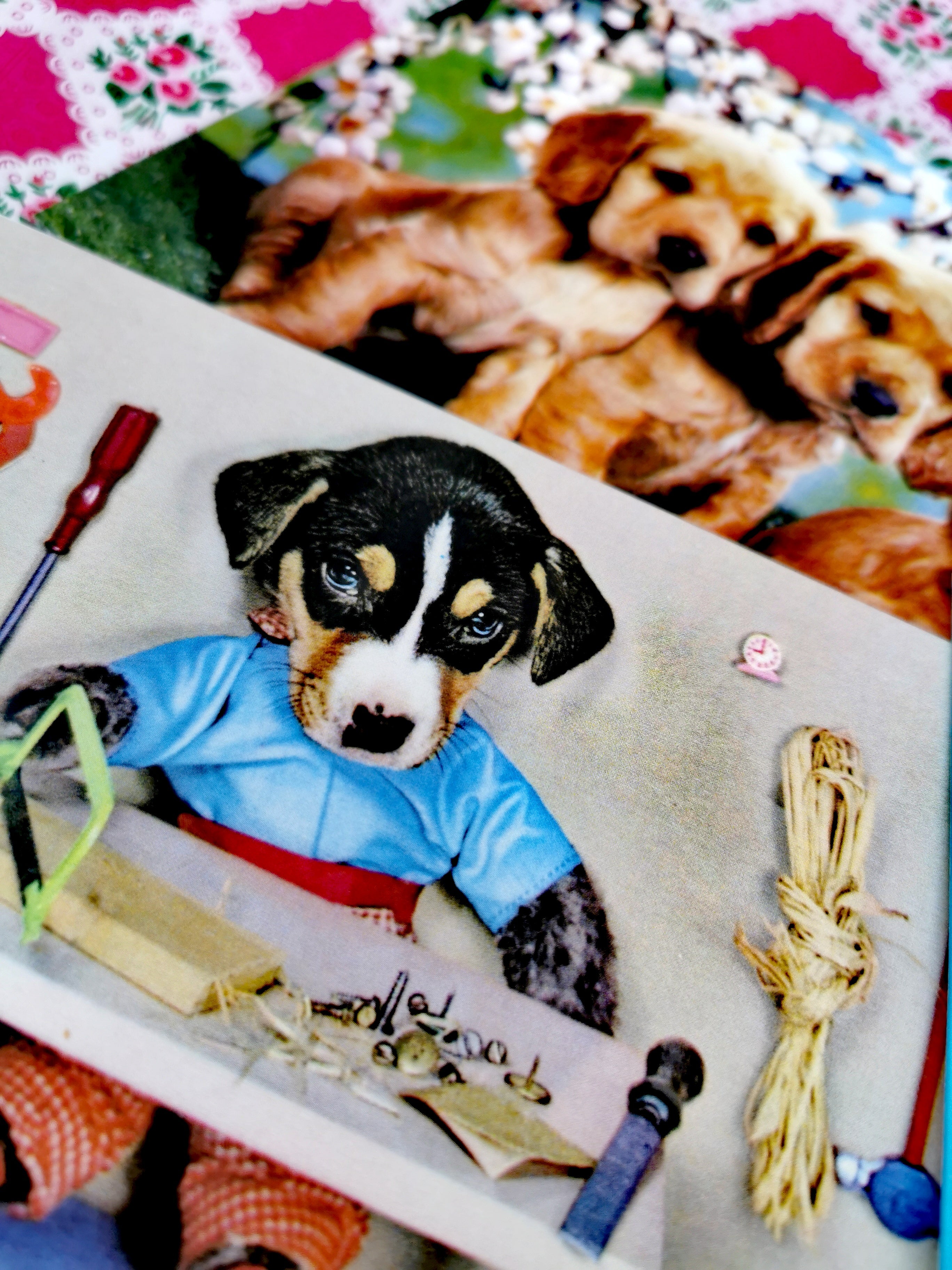 Kitsch puppies greetings cards